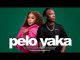 Shandesh PELO YAKA Mp3 Download