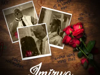 Tony Dayimane Imizwa Mp3 Download