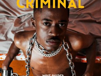 Wave Rhyder Criminal Mp3 Download