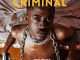 Wave Rhyder Criminal Mp3 Download