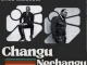 Chief Shumba Hwenje Changu Nechangu Mp3 Download