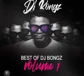 DJ Bongz Best of DJ Bongz Vol. 1 Album Download
