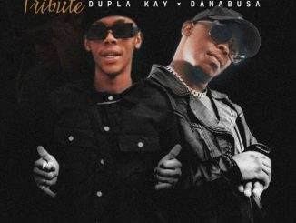 Dupla Kay Umphakathi Mp3 Download