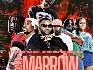 Gangstamadeit Bone Marrow Mp3 Download
