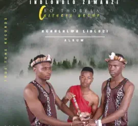 INDLONDLO ZAMANZI Ngahlalwa Lidlozi EP Download