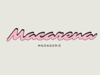 Ice Beats Slide Macarena Mgongorie Mp3 Download