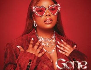 LeeArt Gone Girls Mp3 Download