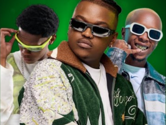 Mellow & Sleazy Thiba Nice Mp3 Download