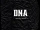 Quality Soulz DNA Mp3 Download