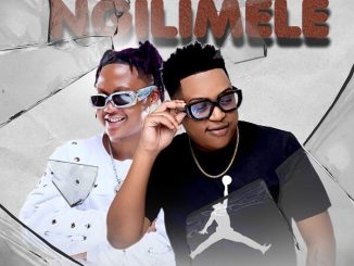 Sipho Magudulela Ngilimele Mp3 Download