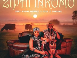 Sir Trill Ziphi Inkomo Mp3 Download
