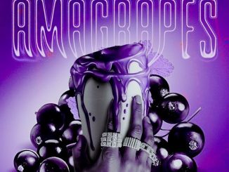 SjavasDaDeejay Amagrapes Mp3 Download