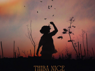 The Groovist Thiba NIce Mp3 Download