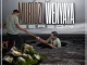 Zviko B Zvandinodawo Mp3 Download