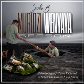 Zviko B Zvandinodawo Mp3 Download