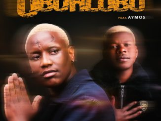 Fizzy B Ubuhlobo Mp3 Download