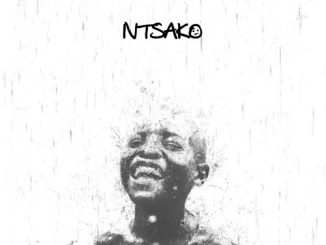 Kelvin Momo Bo Gogo Mp3 Download