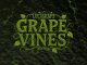 Lucasraps Grapevines Mp3 Download