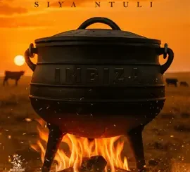 Siya Ntuli Imbiza Album Download