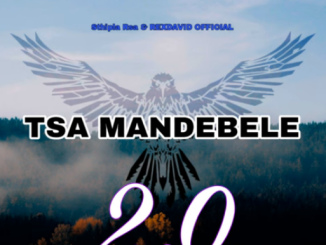 Sthipla rsa Tsa Mandebele 2.0 Mp3 Download