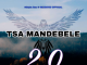 Sthipla rsa Tsa Mandebele 2.0 Mp3 Download