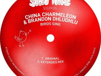 China Charmeleon Bird Sing Mp3 Download