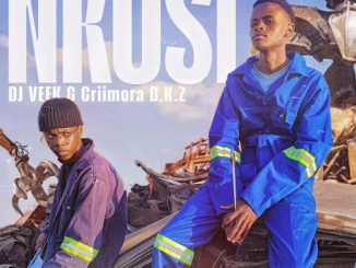 DJ Veek Nkosi Mp3 Download