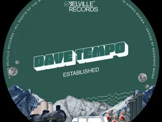 Dave Tempo Established EP Download