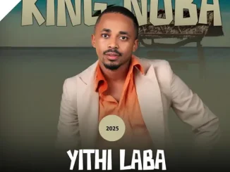 King Nuba Izindlu Zodaka Mp3 Download