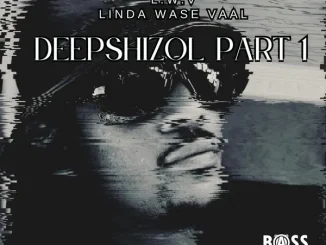 Linda Wase Vaal Deepshizol Pt. 1 EP Download