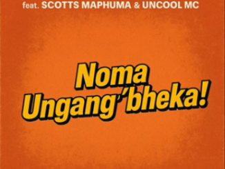 Mellow & Sleazy Noma Ungang’bheka Mp3 Download