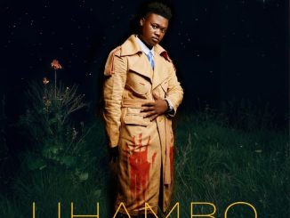 Mlindo The Vocalist Umdali Mp3 Download