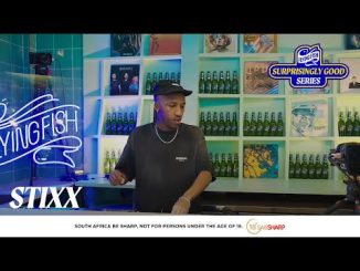 Stixx Flying Fish Surprisingly Good Series Mp3 Download