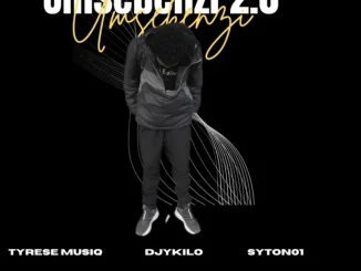 Tyrese musiq Umsebenzi 2.0 Remix Mp3 Download