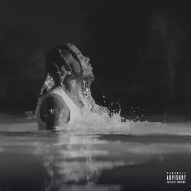 Flvme Blvck & White Album Tracklist