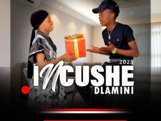 Incushe Dlamini Caster Simenya Mp3 Download