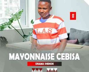 Mayonnaise Cebisa Umnandi Umjolo Mp3 Download