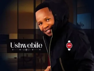Navigator Ushwebile Mp3 Download