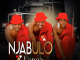 Njabulo Langa Impolompolo Mp3 Download