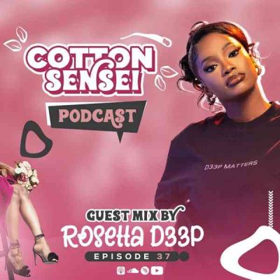 Rosetta D33P Cotton Sensei Podcast Episode 37 Mp3 Download