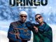 Soultaker Mthathi uRingo Mp3 Download