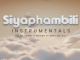 Zie Zie Zondi Siyaphambili Instrumental Mp3 Download