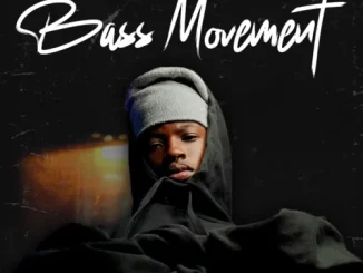 Jay Maester Bass Movement Album Download