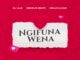 DJ ALE Ngifuna Wena Mp3 Download