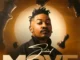T-Man SA Success Mp3 Download