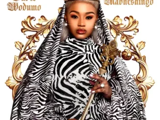 Babes Wodumo Mabheshingo Album Download