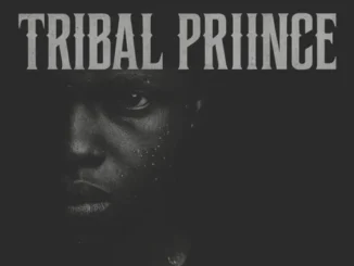 Bacardi 505 Tribal Priince Album Download