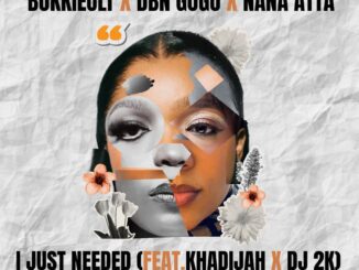 Bokkieult I Just Needed Mp3 Download