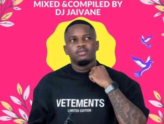 DJ Jaivane Simnandi Vol. 30 Mix Download