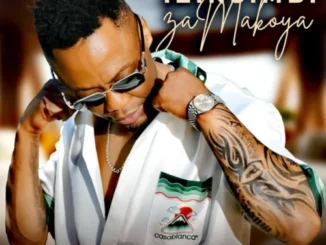 DJ Tira Shona Le Mp3 Download